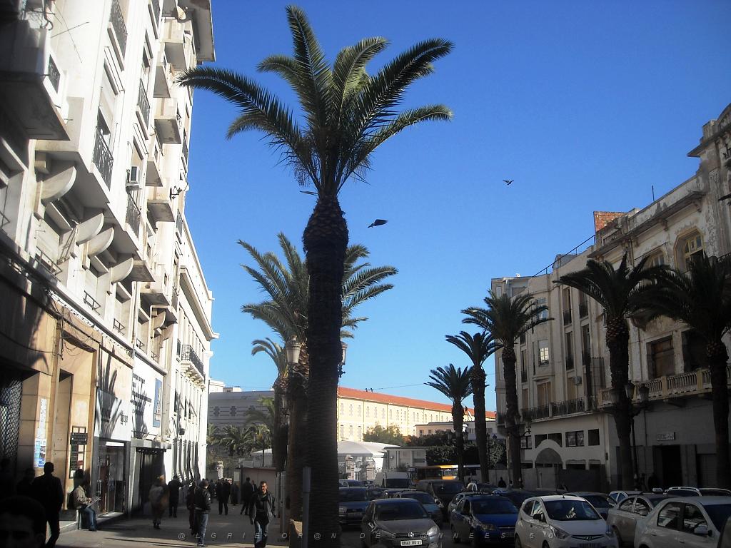 ORAN 2013 JANVIER - Bd Soummam (Gallieni).JPG